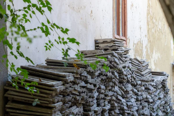 Yığılmış ahşap tahtalar eskimiş duvarlara karşı sarmaşıklarla kaplı.