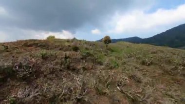 Endonezya 'daki açık mavi gökyüzünün altında yemyeşil tarlalar ve uzak dağlarla çevrili bir tepe yolunun FPV insansız hava aracı görüntüsü.