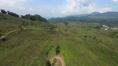 Endonezya 'daki açık mavi gökyüzünün altında yemyeşil tarlalar ve uzak dağlarla çevrili bir tepe yolunun FPV insansız hava aracı görüntüsü.