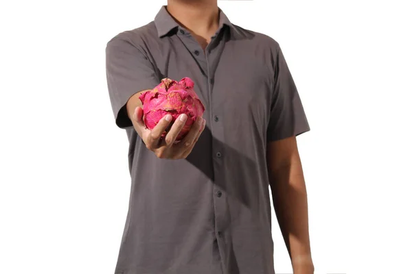 Kısa kollu gömlekli bir adam elinde ejderha meyvesi tutuyor.