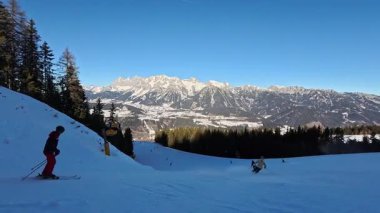 Yoğun bir yamaçtaki kayakçı kalabalığı: Arkadan bakın, insanlar Alplerde kış sporlarının keyfini çıkarıyorlar