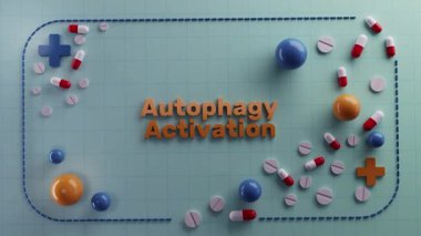 Tıbbi destek görselleştirme, sağlık bilimi hücresel yenilenme süreçlerini gösteriyor, laboratuvar temalı illüstrasyon metabolik fonksiyonları ve besin stratejilerini vurguluyor