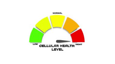 yüksek teknolojili sağlık göstergesi, gelişmiş mikroskobik hücresel sağlık görselleştirme aracı, detaylı hücresel refah verilerini laboratuvar esinlenilmiş tasarım elemanlarıyla sunan segmentli iğne göstergesi