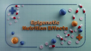 Beslenme etkilerine ilişkin araştırma sunumu, eğitim tasarımı, beslenmenin sağlık üzerindeki etkisini gösteren ayrıntılı grafik, ilaç türlerini gösteren ayrıntılı grafik ve sağlık sonuçları üzerindeki epigenetik etki