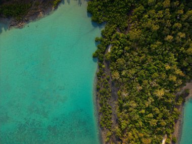 Queenslands kıyı şeridinin, el değmemiş plajların, turkuaz okyanus sularının ve tropikal adaların doğal güzelliklerini gösteren yüksek çözünürlüklü hava fotoğraflarının bir derlemesi. Profesyonel insansız hava aracı ekipmanlarıyla çekilen bu görüntüler canlı manzarayı gösteriyor..