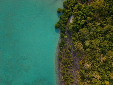 Queenslands kıyı şeridinin, el değmemiş plajların, turkuaz okyanus sularının ve tropikal adaların doğal güzelliklerini gösteren yüksek çözünürlüklü hava fotoğraflarının bir derlemesi. Profesyonel insansız hava aracı ekipmanlarıyla çekilen bu görüntüler canlı manzarayı gösteriyor..