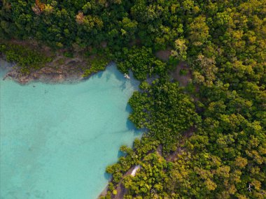 Queenslands kıyı şeridinin, el değmemiş plajların, turkuaz okyanus sularının ve tropikal adaların doğal güzelliklerini gösteren yüksek çözünürlüklü hava fotoğraflarının bir derlemesi. Profesyonel insansız hava aracı ekipmanlarıyla çekilen bu görüntüler canlı manzarayı gösteriyor..