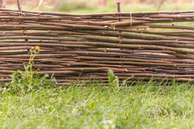 Karahindiba ve yeşil otla örülmüş geleneksel Wicker Çitleri birbirine geçmiş söğüt dallarından yapılmış kırsal bir çitin yatay görüntüsü. Ön planda, canlı yeşil çimenler ve çiçek açan sarı karahindiba ilkbahar doğasına bir dokunuş ekler.