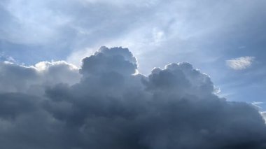 Şiddetli, karanlık bulutlarla dolu dramatik bir gökyüzü ağaçların karanlık siluetleri üzerinde belirir, karamsar ve atmosferik bir sahne yaratarak yaklaşan bir fırtınayı ya da hava değişimini gösterir..