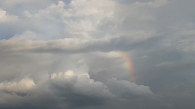 Şiddetli, karanlık bulutlarla dolu dramatik bir gökyüzü ağaçların karanlık siluetleri üzerinde belirir, karamsar ve atmosferik bir sahne yaratarak yaklaşan bir fırtınayı ya da hava değişimini gösterir..