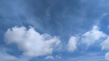 Şiddetli, karanlık bulutlarla dolu dramatik bir gökyüzü ağaçların karanlık siluetleri üzerinde belirir, karamsar ve atmosferik bir sahne yaratarak yaklaşan bir fırtınayı ya da hava değişimini gösterir..