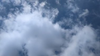 Şiddetli, karanlık bulutlarla dolu dramatik bir gökyüzü ağaçların karanlık siluetleri üzerinde belirir, karamsar ve atmosferik bir sahne yaratarak yaklaşan bir fırtınayı ya da hava değişimini gösterir..