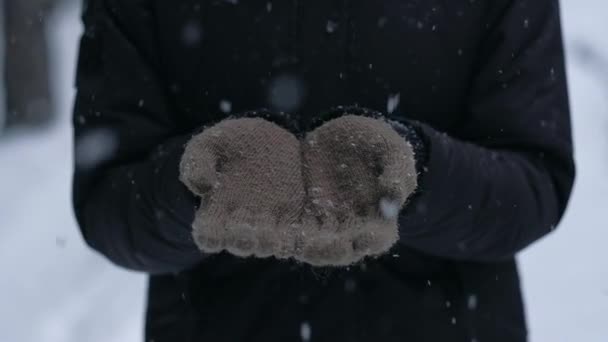 Женщина наслаждается снегопадом и смотрит на маленькие снежинки на голубых перчатках. — стоковое видео