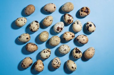 Mavi arka planda bıldırcın yumurtası var.