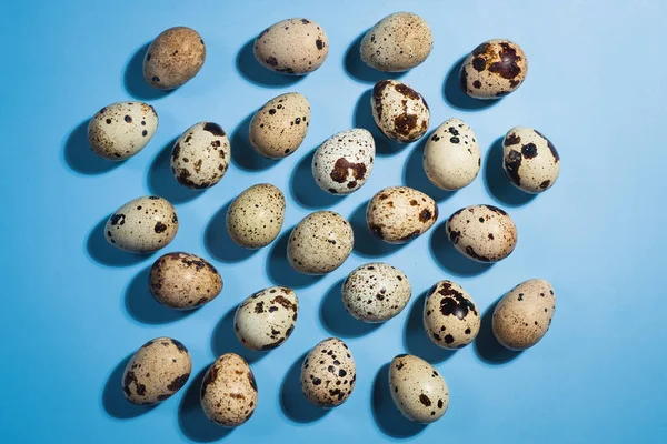 Mavi arka planda bıldırcın yumurtası var.