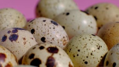 Bıldırcın yumurtası dönüş arkaplanı