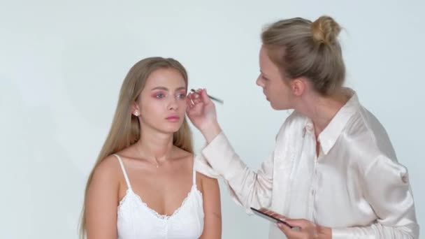 Joven artista de maquillaje haciendo cambio de imagen a modelo bonito — Vídeo de stock
