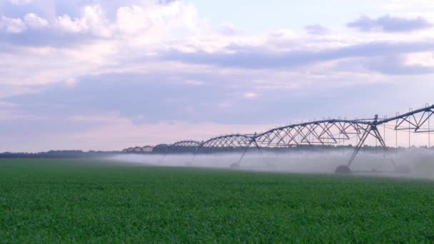 Système d'irrigation automatisé — Video