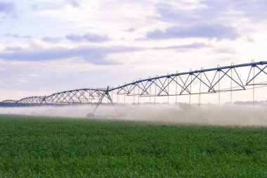 Otomatik sulama sistemi