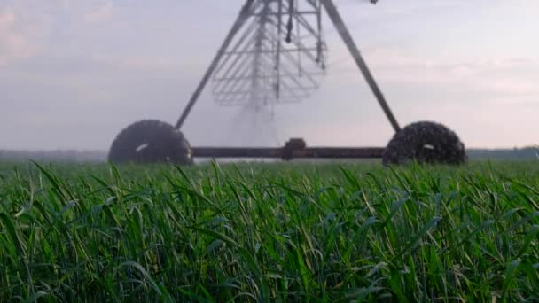 自動灌漑システム — ストック動画
