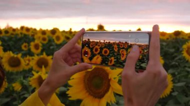 Arka plandaki kadın yaz günü gün batımında telefonuyla fotoğraf çekiyor..