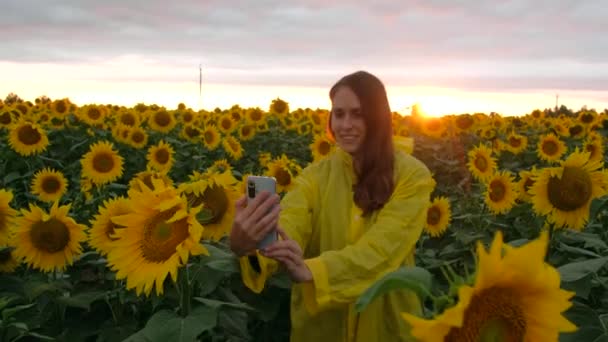 Arka plandaki kadın yaz günü günbatımında telefonuyla selfie ayçiçeği tarlası çekiyor.. — Stok video