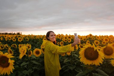 Arka plandaki kadın yaz günü günbatımında telefonuyla selfie ayçiçeği tarlası çekiyor..