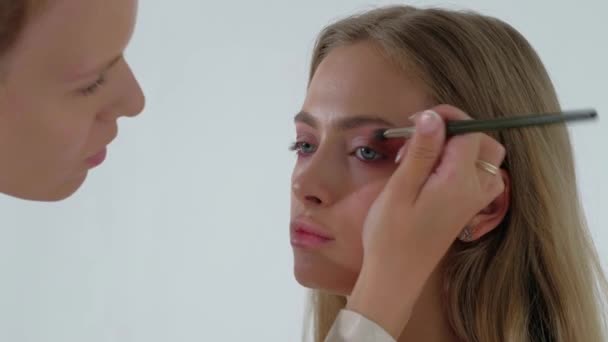 Young Makeup Artist Doing Makeover To Pretty Model — Stock Video
