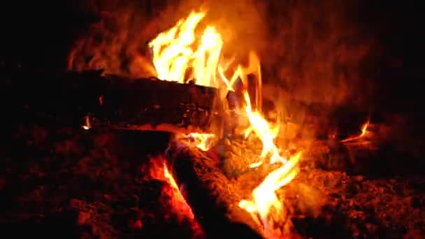 Kohlen brennen im Feuer — Stockvideo