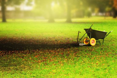 Sonbaharda park temizliği. Güneş ışınlarında el arabası ve tırmık kullanarak kışa hazırlanıyorlar. Yüksek kalite fotoğraf