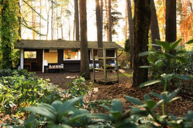 Yeşillik ve rhododendronlarla çevrili bir bahçe evi. Yakınlarda bir bahçe aracı duruyor, sakin bir dış mekan ayarını vurguluyor.