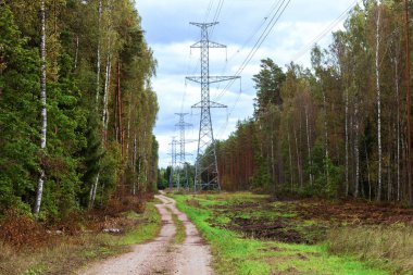 Yüksek voltajlı kutuplar, yoğun bir ormanın arka planına karşı yol boyunca uzanır. Yüksek kalite fotoğraf