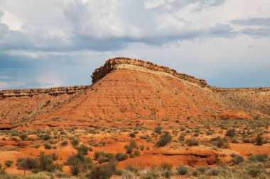 Düşük kızıl kaya tepeleri ve dağınık, kurak fundalıkların yumuşak, bulutlu ışık altında yer aldığı kurak bir çöl manzarası..