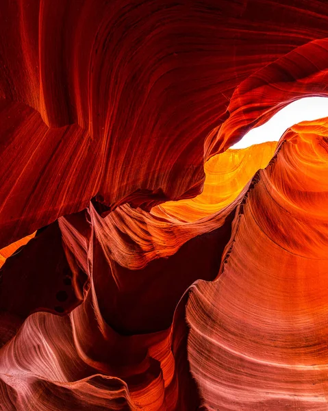 Kırmızı kumtaşı kanyon duvarlarının dalgalı, dalgalı yüzeylerine aşırı, soyut bir dikey odak..
