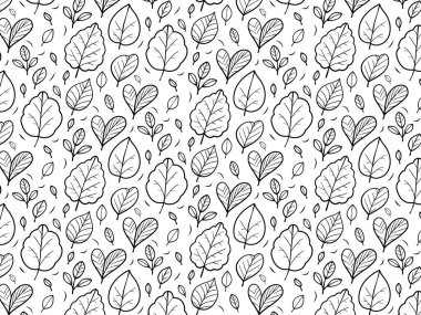 Farklı şekillerde siyah ve beyaz el yapımı yapraklar. Boyama sayfaları, kumaş baskıları, duvar kağıdı, ambalaj kağıdı ve botanik tasarımları için ideal.