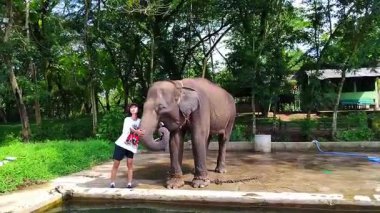 LAMPUNG, INDOENSIA - 19 Ekim 2025: Fillerle fotoğraf çeken ziyaretçiler, Endonezya 19 Ekim 2025.