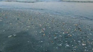 Sakin bir deniz manzarası, kıyıya vuran dalgalar, ıslak kumları kaplayan dağınık deniz kabukları.