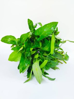 Temiz beyaz arkaplana yerleştirilmiş taze su ıspanağı (Ipomoea aquatica) yaprakları