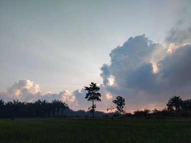 Uzun ağaçlar ve sabahın erken saatlerinde parlayan dramatik bulutlarla dolu verimli pirinç tarlalarının üzerinde gün doğumu. Doğal güzelliklerle dolu huzurlu bir kırsal bölge..