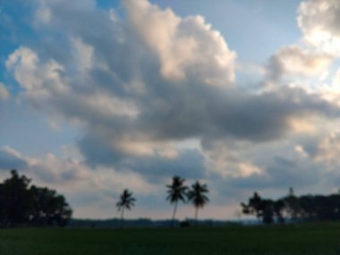 Gün batımında yeşil bir tarlanın üzerinde dramatik ve bulutlu bir gökyüzüne bakan palmiye ağaçlarının huzurlu görüntüsü.