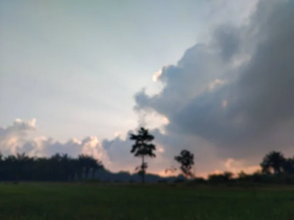 Uzun ağaçlar ve sabahın erken saatlerinde parlayan dramatik bulutlarla dolu verimli pirinç tarlalarının üzerinde gün doğumu. Doğal güzelliklerle dolu huzurlu bir kırsal bölge..