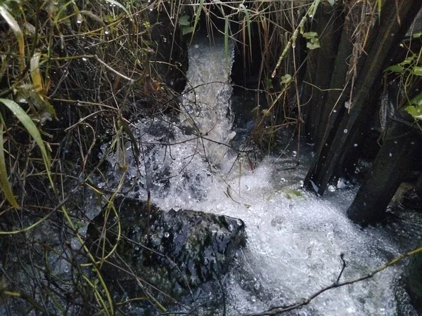 Kayalardan dökülen tatlı ve temiz suyun yakın plan görüntüsü, sıçramalar ve kabarcıklar yaratır.