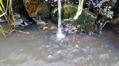 berrak ve taze nehir suyu