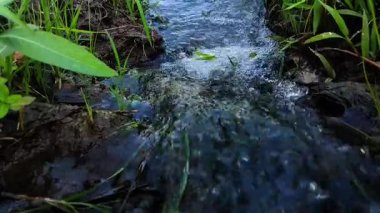 Akan su manzarası ve güzel yeşil bitkiler.