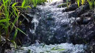 Akan su manzarası ve güzel yeşil bitkiler.