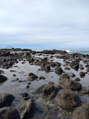 Kıyı şeridi boyunca dağılmış karanlık volkanik kayaların olduğu sakin bir sahil manzarası. Yumuşak okyanus dalgaları, parlak mavi gökyüzünün altında onlara çarpıyor.