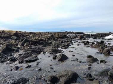 Kıyı şeridi boyunca dağılmış karanlık volkanik kayaların olduğu sakin bir sahil manzarası. Yumuşak okyanus dalgaları, parlak mavi gökyüzünün altında onlara çarpıyor.