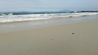 Okyanus dalgalarının sakin manzarası açık mavi gökyüzünün altındaki kumlu bir sahile hafifçe çarpıyor.