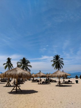 Palmiye yapraklarından yapılmış sıralanmış sazdan şemsiyelerle güneşli tropik bir sahil, yumuşak altın kumda dinlenen ziyaretçilere gölge sağlıyor.