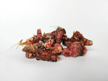 Temiz beyaz arka plana yerleştirilmiş taze toplanmış kırmızı galangal köklerinin yakın plan görüntüsü.